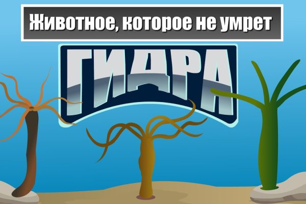 Официальный сайт кракен тор