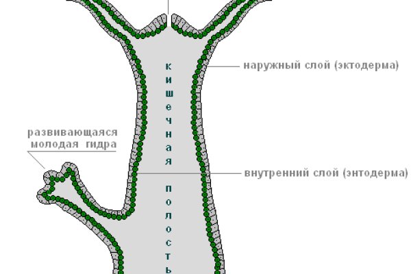 Кракен актуальные ссылки на сегодня