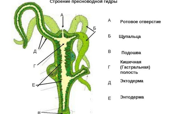 Восстановить доступ к кракену